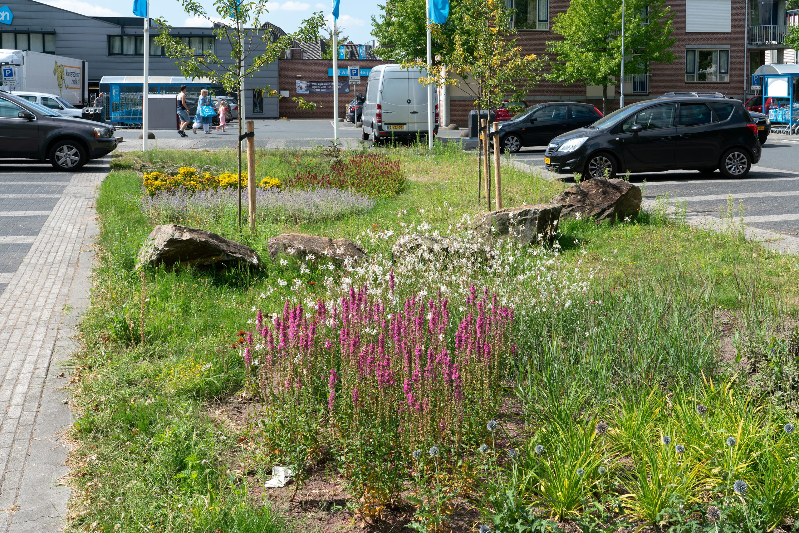 parkeerplaats met vaste planten plantsoen in Lichtenvoorde; park